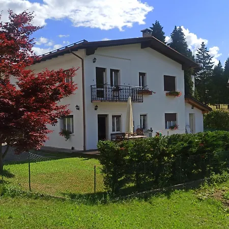 Anna Domegge di Cadore